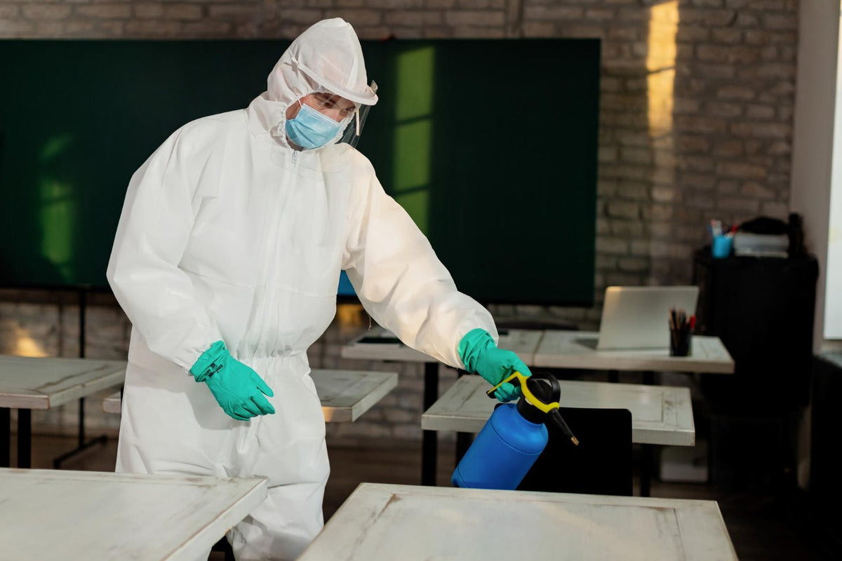 Bed Bug Spray Products That Work - Hygiene Harbor