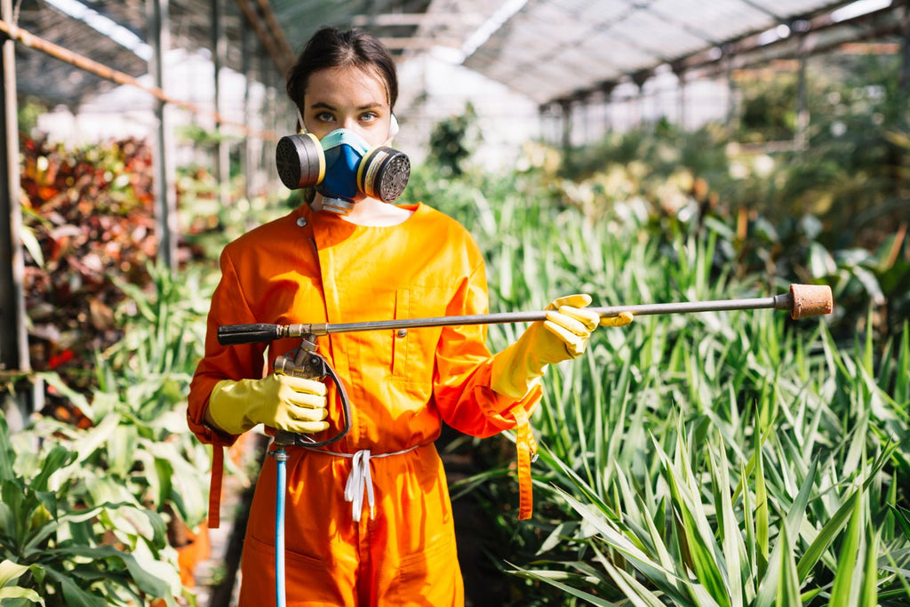Best Insecticide Concentrates for Pest Control Pros – Hygiene Harbor