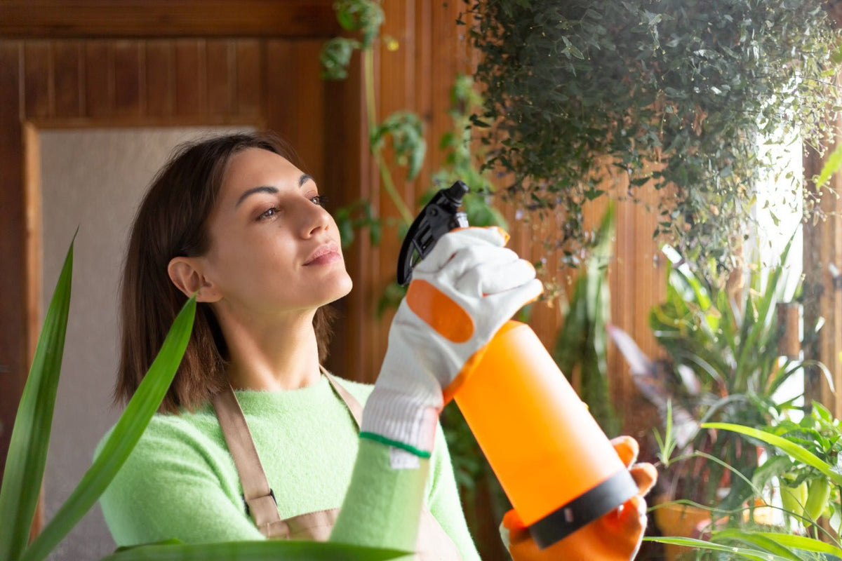 How to Keep Your Home Pest-Free with Safe & Effective Solutions - Hygiene Harbor