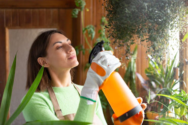 How to Keep Your Home Pest-Free with Safe & Effective Solutions - Hygiene Harbor