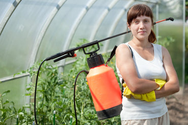 Pest Knock Solutions vs. Traditional Sprays – What Actually Works? - Hygiene Harbor