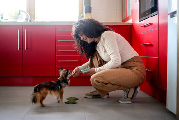 Pet-Safe Flea & Tick Control Products - Hygiene Harbor