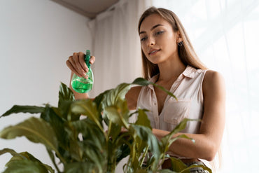 Why Air Fresheners Are More Than Just Fragrance - Hygiene Harbor